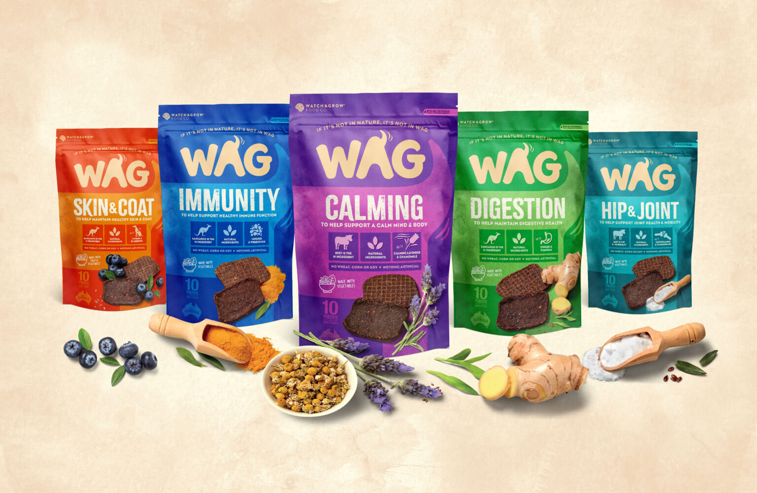 WAG-Functional_1667x1087-06-1-1536×1001